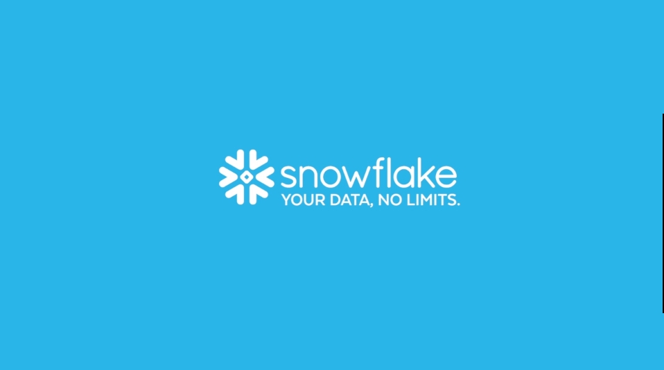 Snowflake - The Zebra Testimonial Video