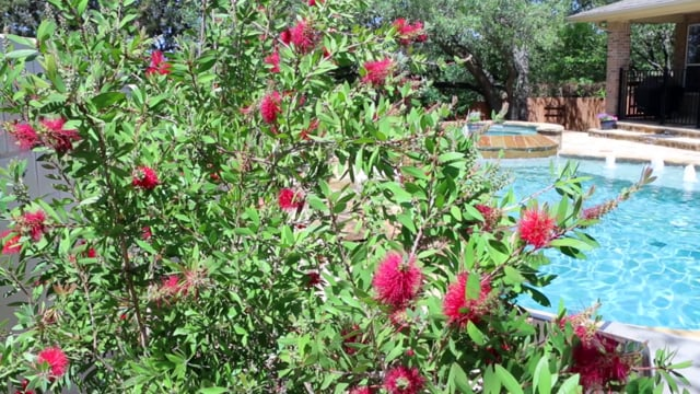 Home Tour Videographer, Real Estate Video Tour